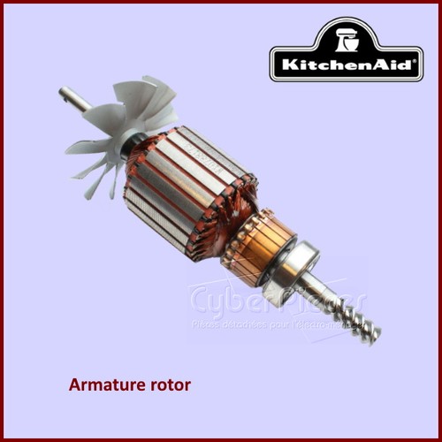 Rotor induit moteur pour - de,